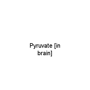 Pyruvate [in brain]